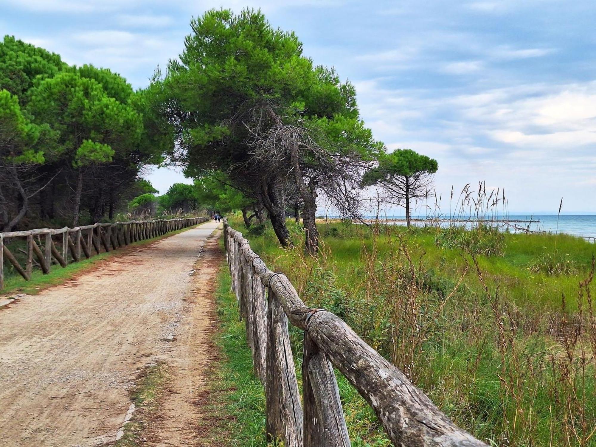 Welcoming Flat For 6 Guests Next To The Beach Bibione Esterno foto